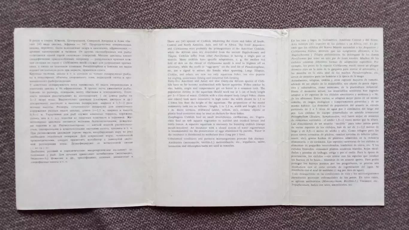 Пестрый мир аквариума 1983 г. Выпуск № 3 полный набор - 25 открыток (Аквариум) 2
