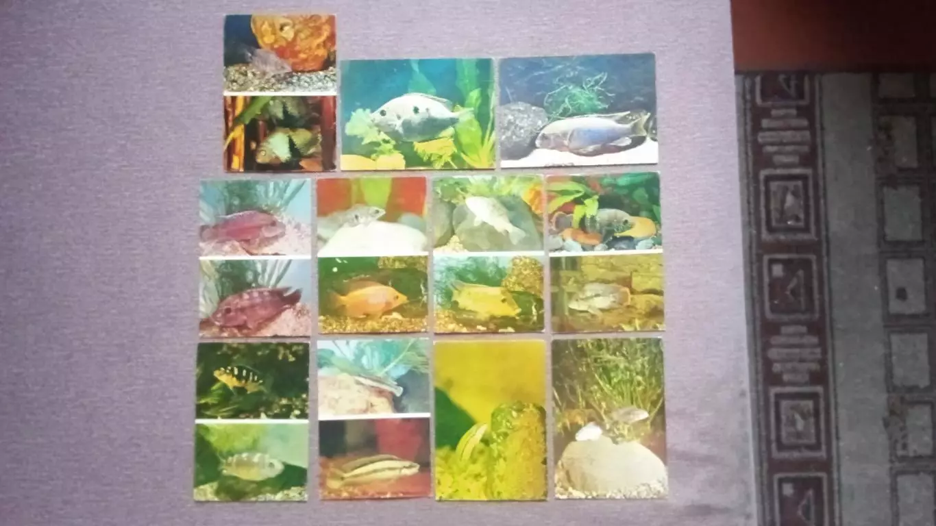 Пестрый мир аквариума 1983 г. Выпуск № 3 полный набор - 25 открыток (Аквариум) 4
