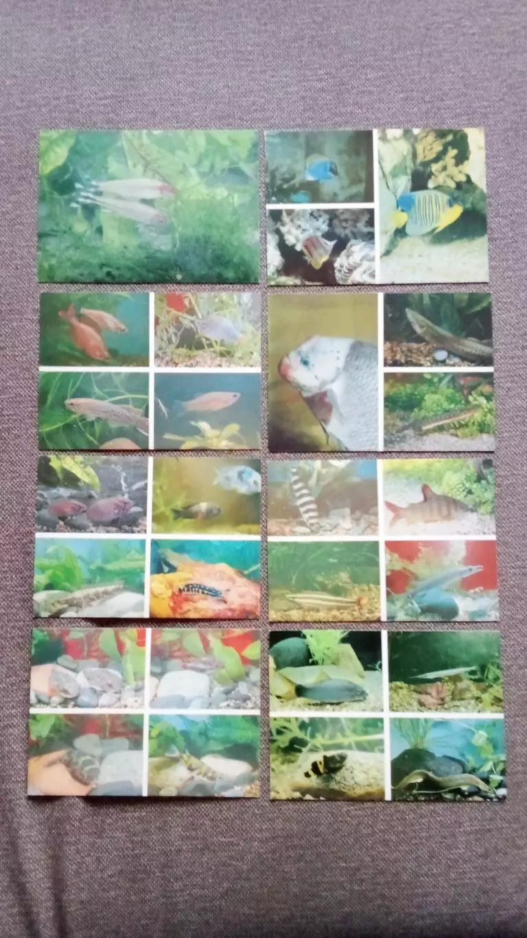 Аквариум Московского зоопарка 1985 г. полный набор - 24 открыток (Рыбки Фауна) 2