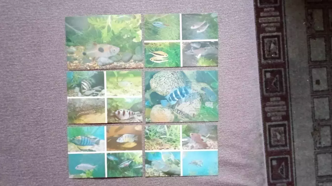 Аквариум Московского зоопарка 1985 г. полный набор - 24 открыток (Рыбки Фауна) 3