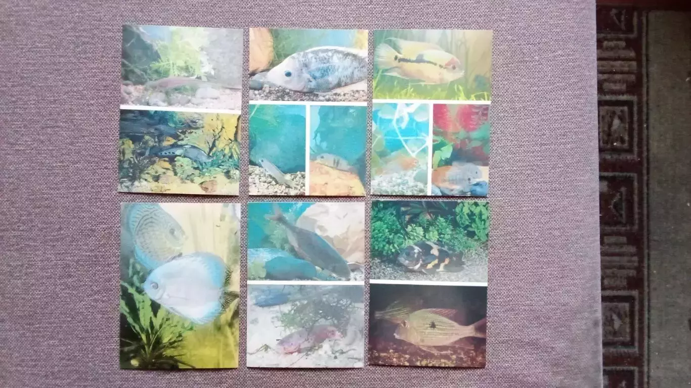 Аквариум Московского зоопарка 1985 г. полный набор - 24 открыток (Рыбки Фауна) 4