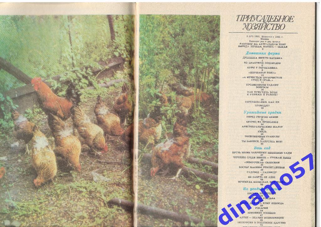 Журнал - Приусадебное хозяйство 1991-5 1