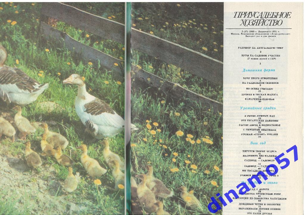 Журнал - Приусадебное хозяйство 1990-3 1