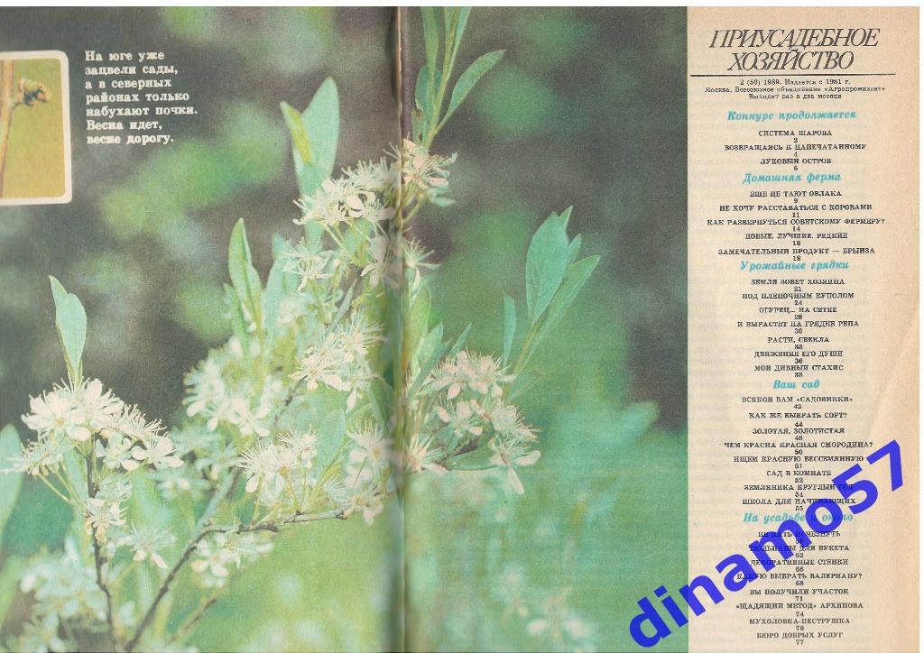Журнал - Приусадебное хозяйство 1989-2 1