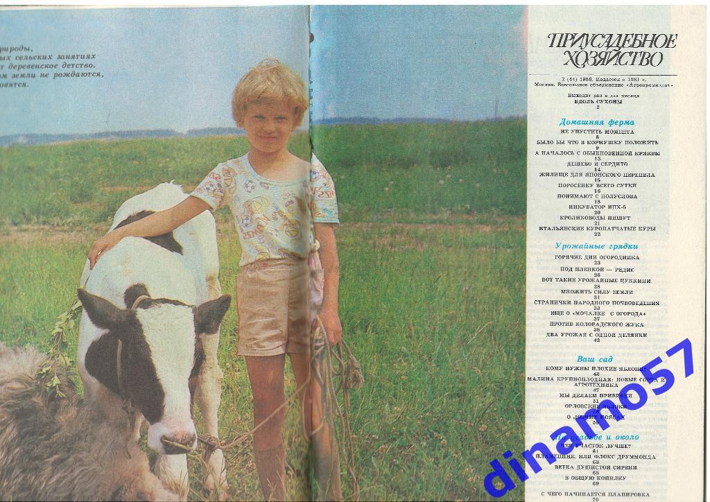 Журнал - Приусадебное хозяйство 1988-2 1
