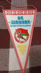 СКШинникБобруйск