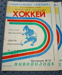 Химик (Новополоцк)-ШВСМ(Ярославль)13-14.02.1991 г.