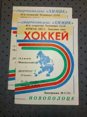 Химик (Новополоцк)-Прогресс(Глазов)17-18.12.1991г.