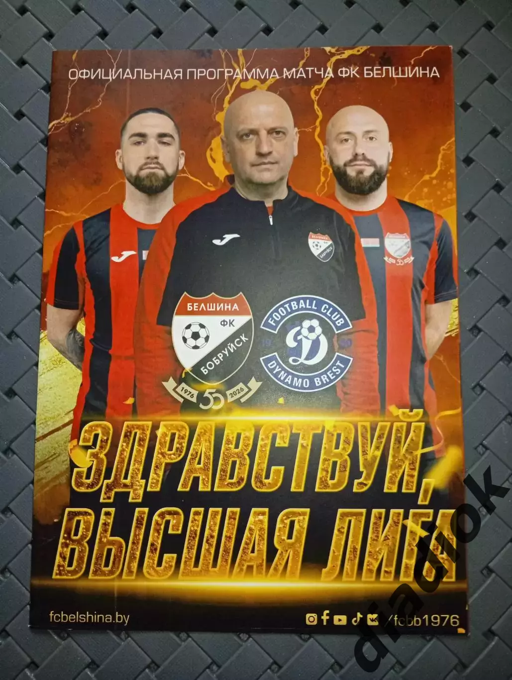 Белшина (Бобруйск)-Динамо (Брест)22.03.2026г.