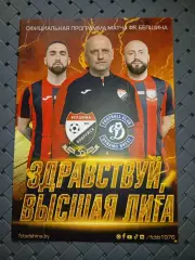 Белшина (Бобруйск)-Динамо (Брест)22.03.2026г.