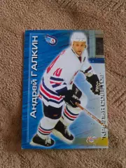 Карточка Андрей Галкин