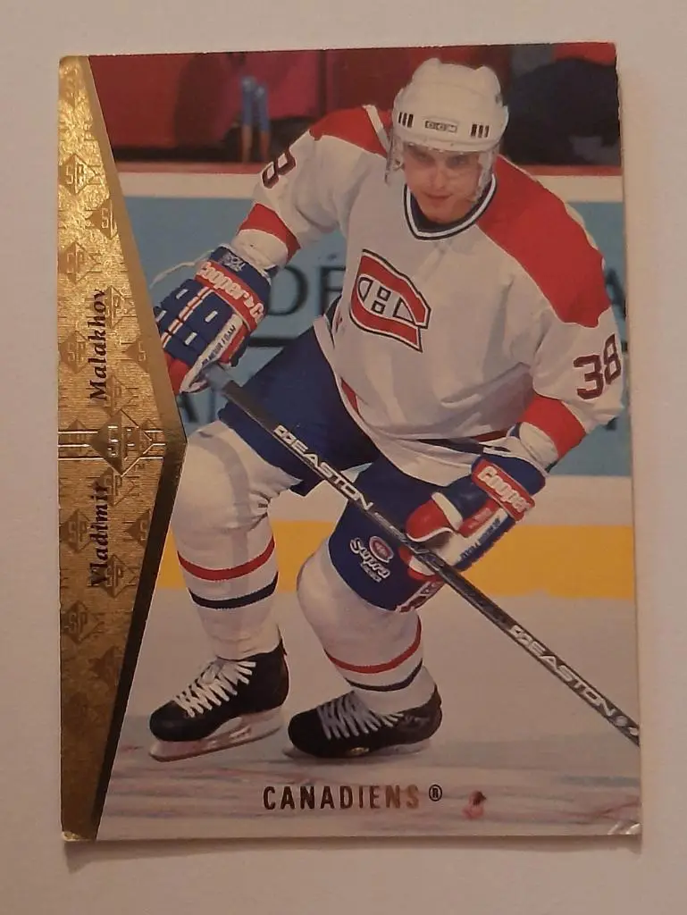 Карточка Хоккей Владимир Малахов