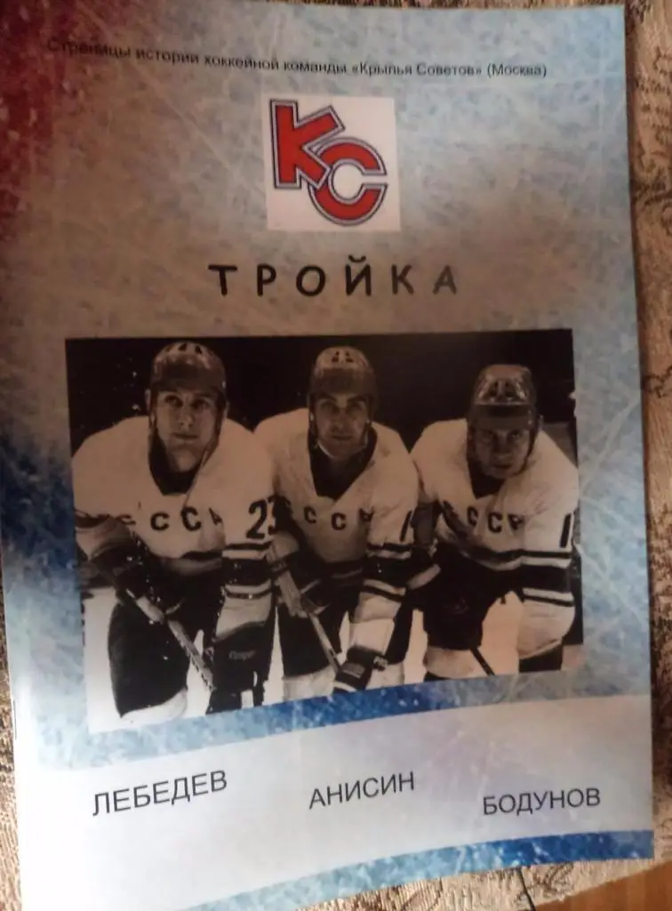 Лебедев Анисин Бодунов 2016 Автор Александр Белов