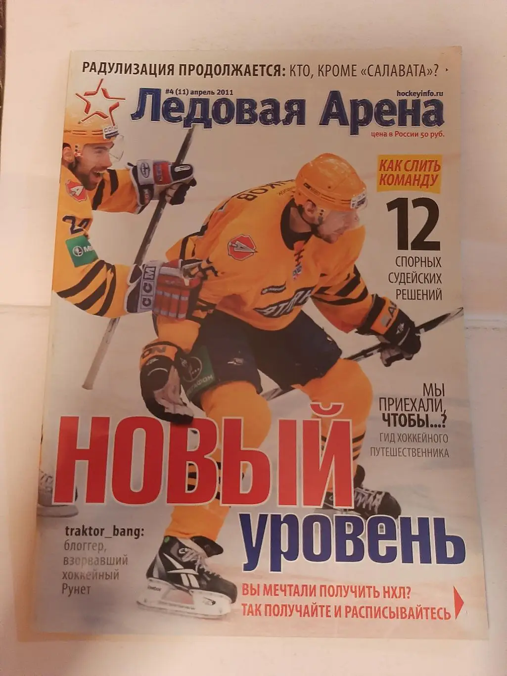 Ледовая Арена №11 2011