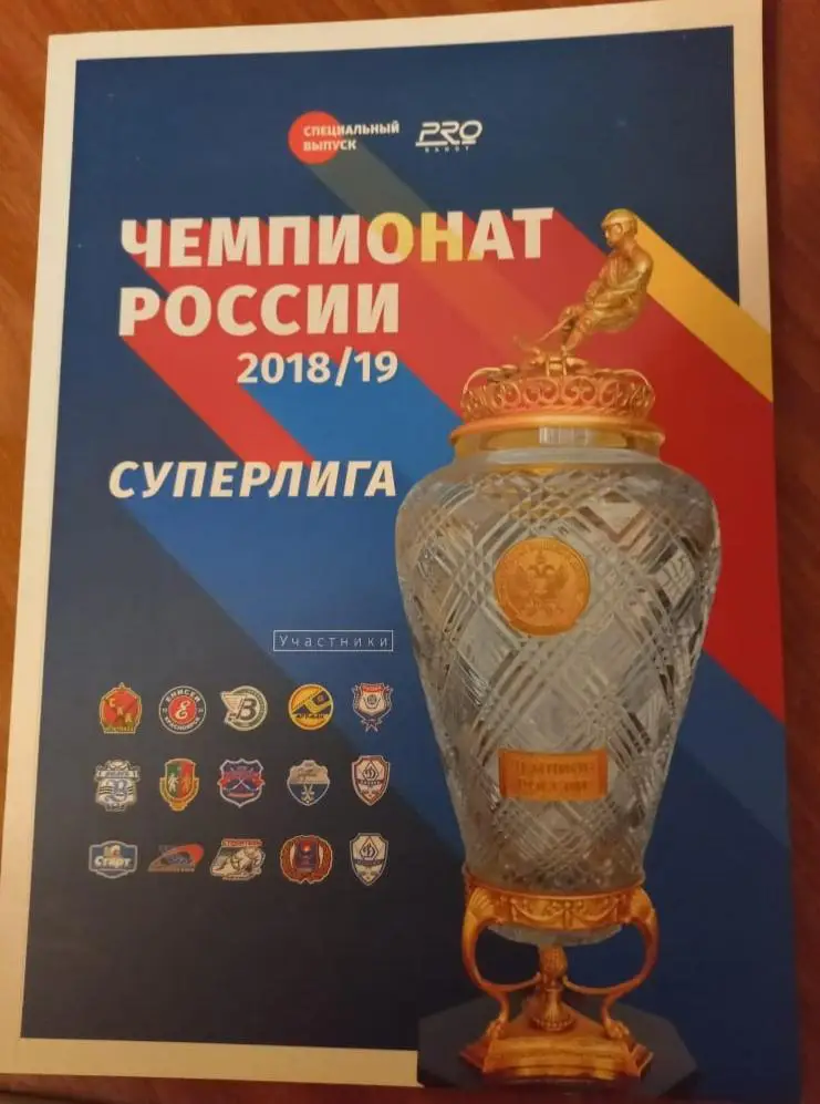 Чемпионат России по хоккею с мячом 2018/2019 суперлига