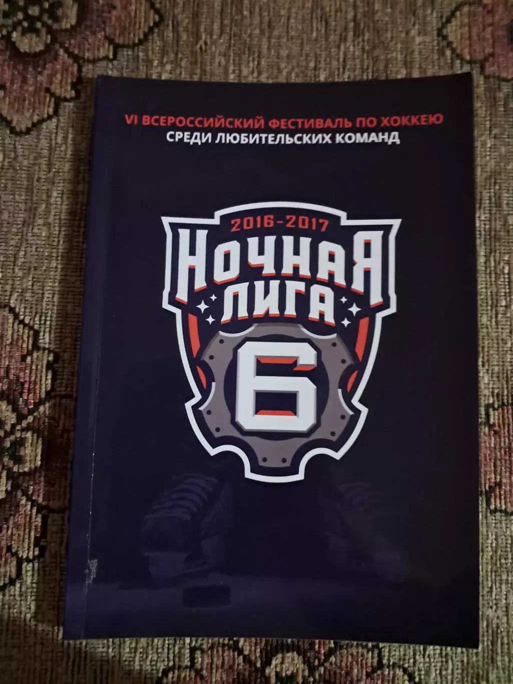 Ночная хоккейная лига 2026-2017