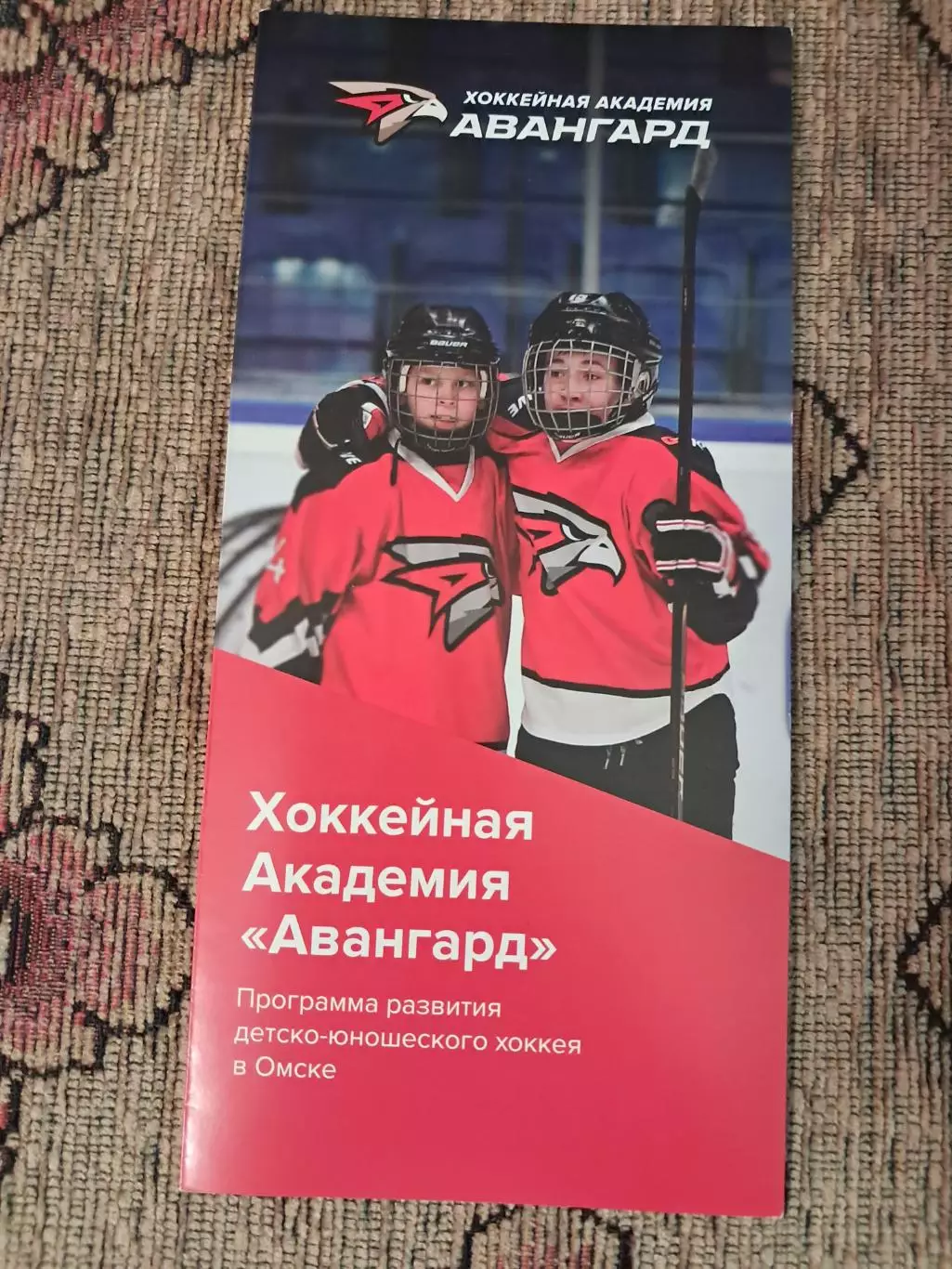 Буклет Хоккейная Академия Авангард