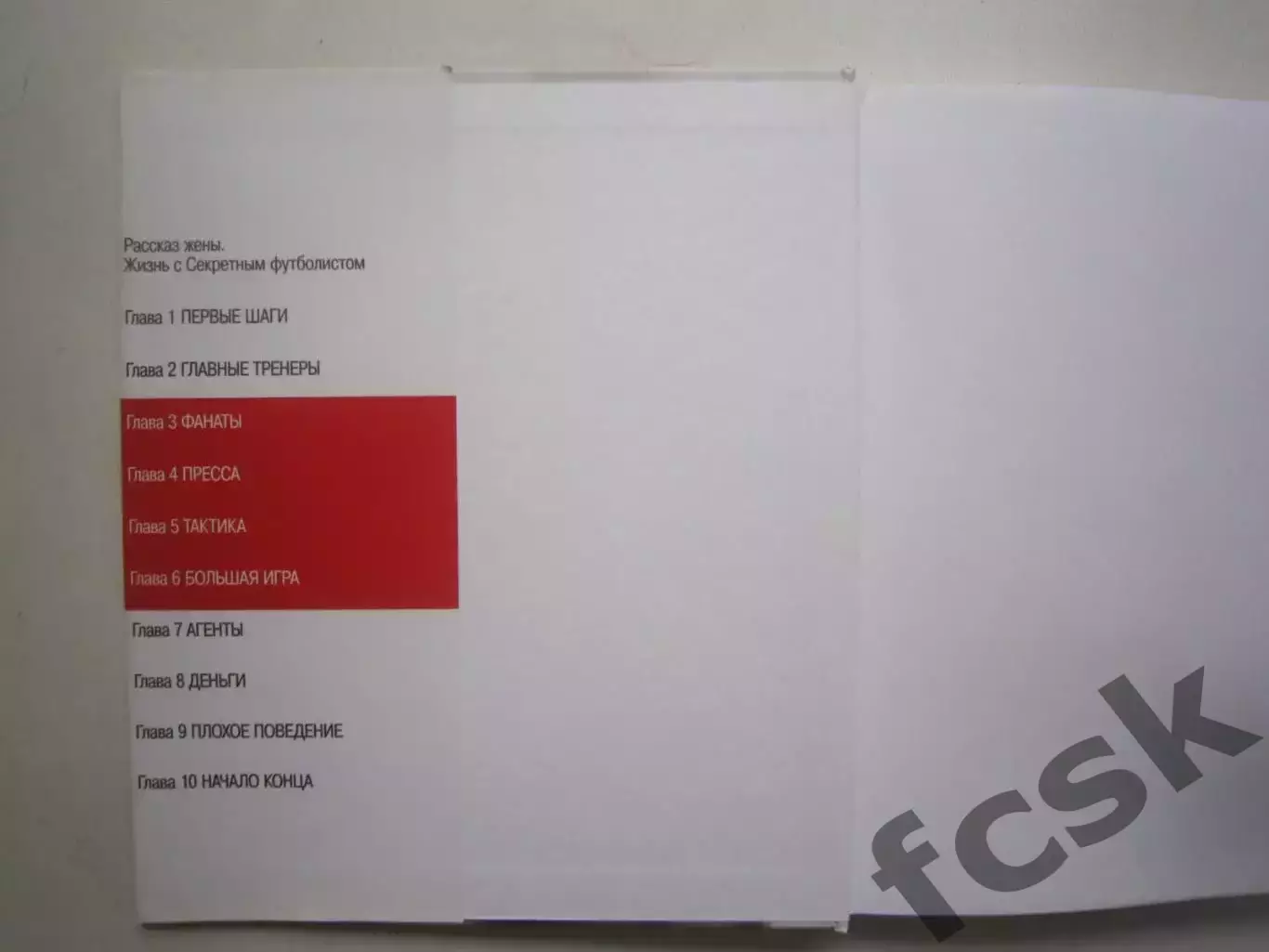 В раздевалках английской премьер-лиги. Записки секретного футболиста. 1