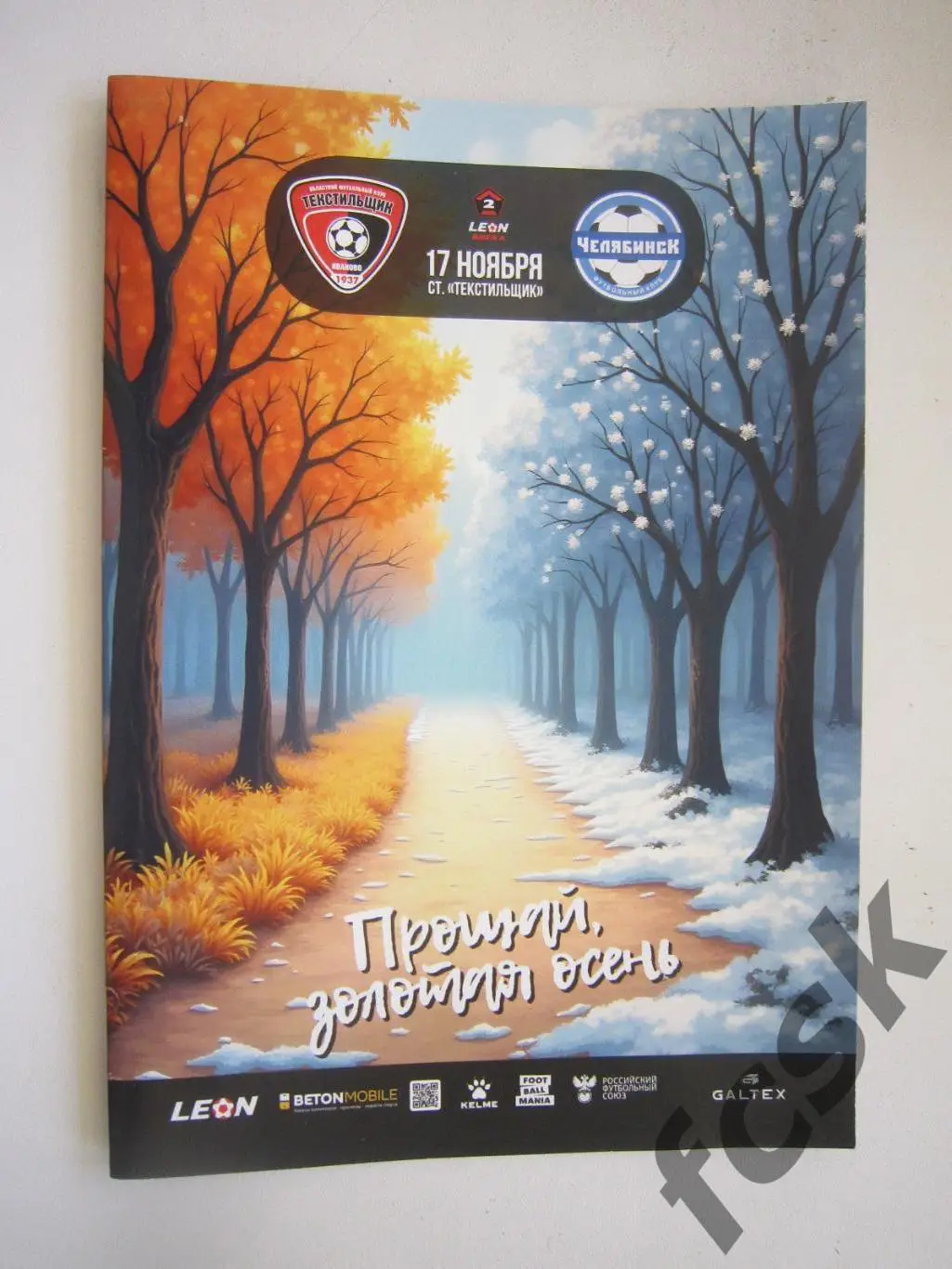 Текстильщик Иваново - ФК Челябинск 17.11.2024