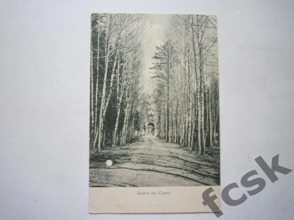 Сергиев Посад. Свято-Троицкая Сергиевая Лавра. Аллея к Скиту.