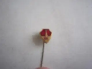 Комитет по физической культуре и спорту при Мосгорисполкоме. СССР