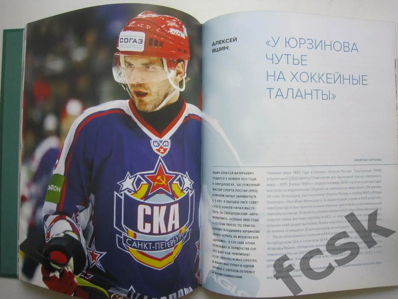 Ледовая дружина. Вместе, чтобы побеждать! 1