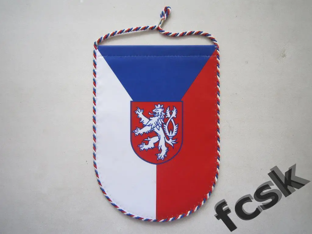 Ассоциация футболтенниса Чехии