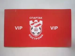 ВИП приглашение Спартак Кострома - Нефтехимик Нижнекамск 03.08.2025