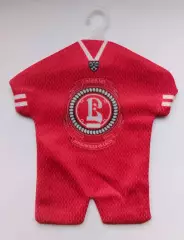 Мини форма ХК Витязь