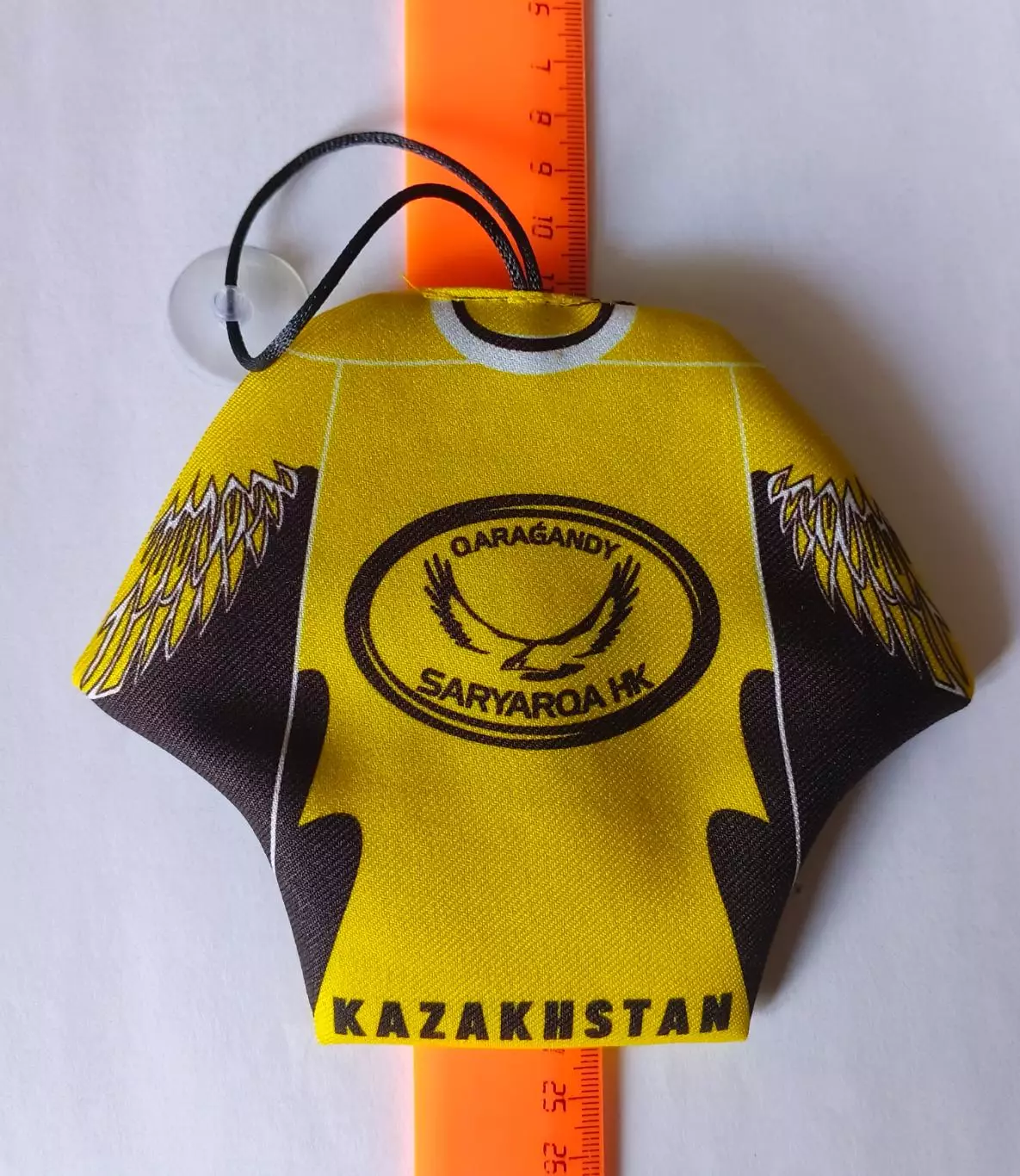 Мини-свитер ХК Сарыарка 1