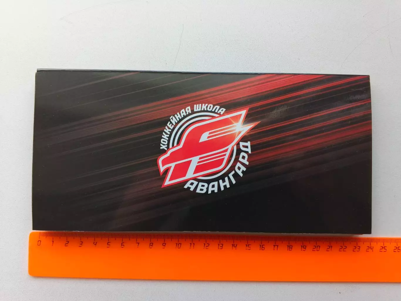 Значок Хоккейная Школа ХК Авангард 6