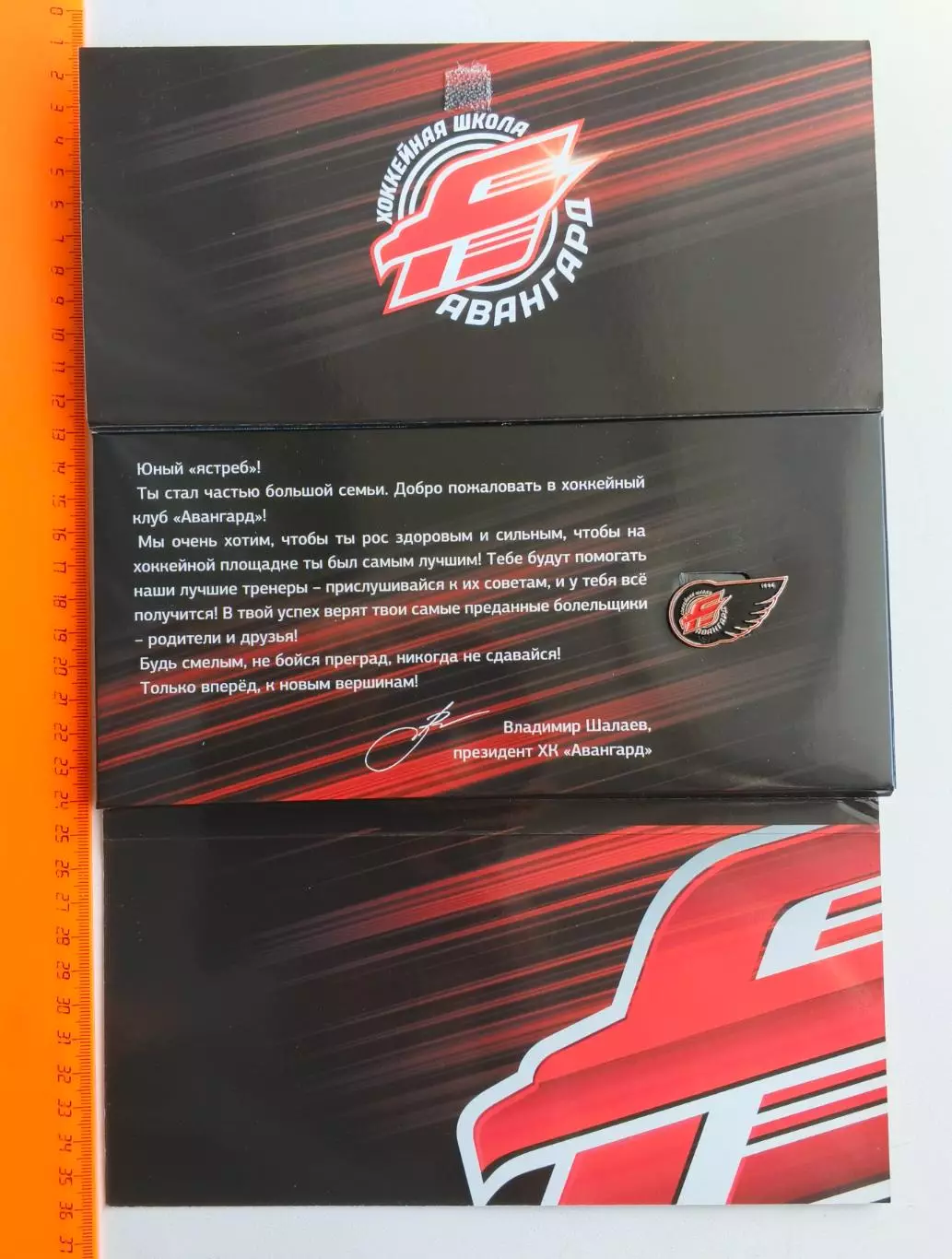 Значок Хоккейная Школа ХК Авангард 7