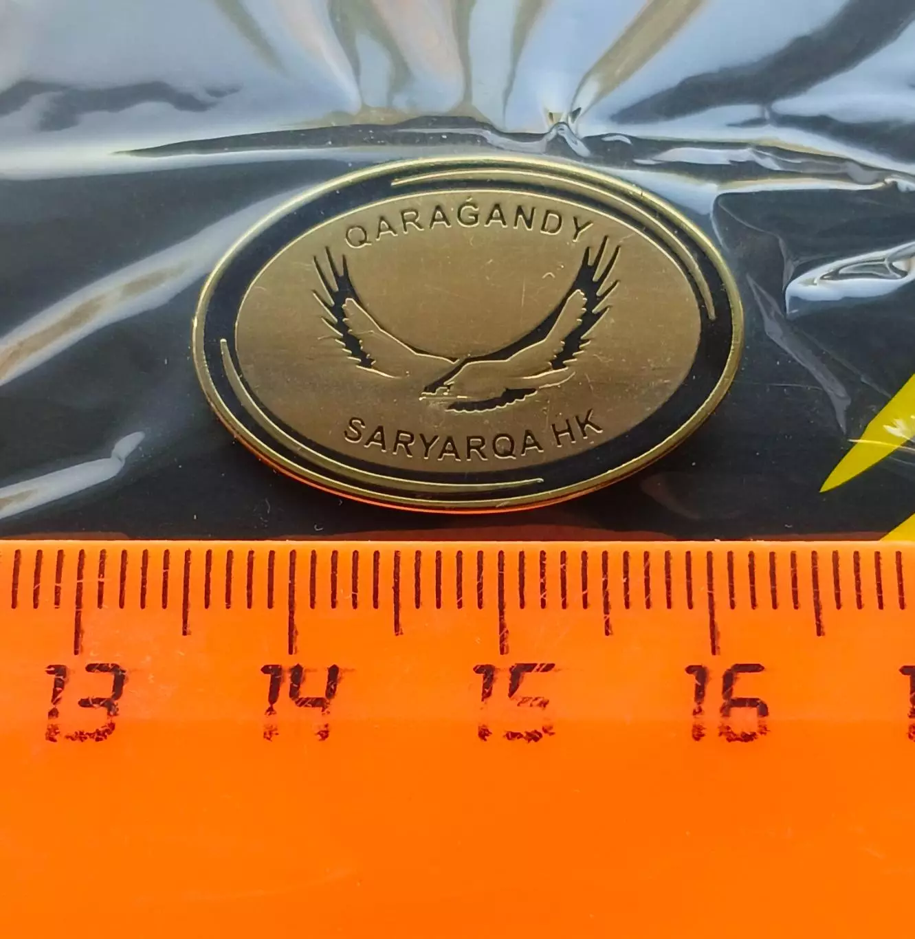 Значок ХК Сарыарка (г. Караганда, Казахстан) 2