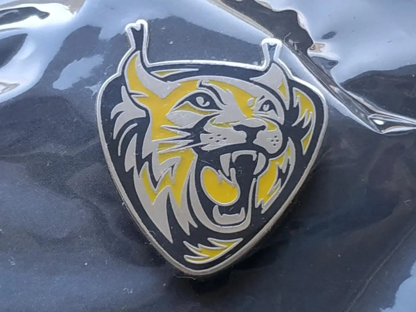 Значок хоккейный клуб ХК Северсталь (г.Череповец) 1