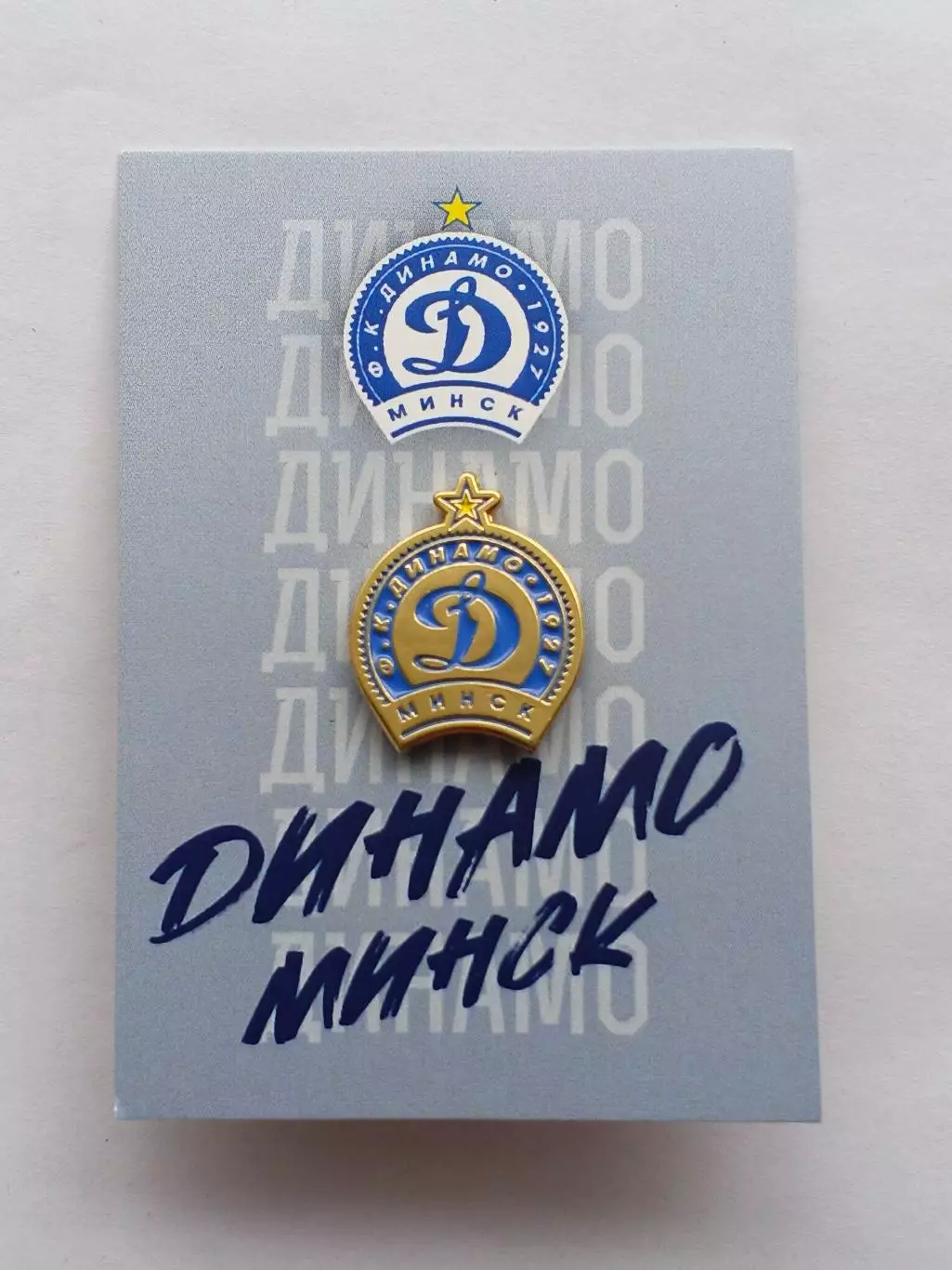 Значок ФК Динамо (Минск)