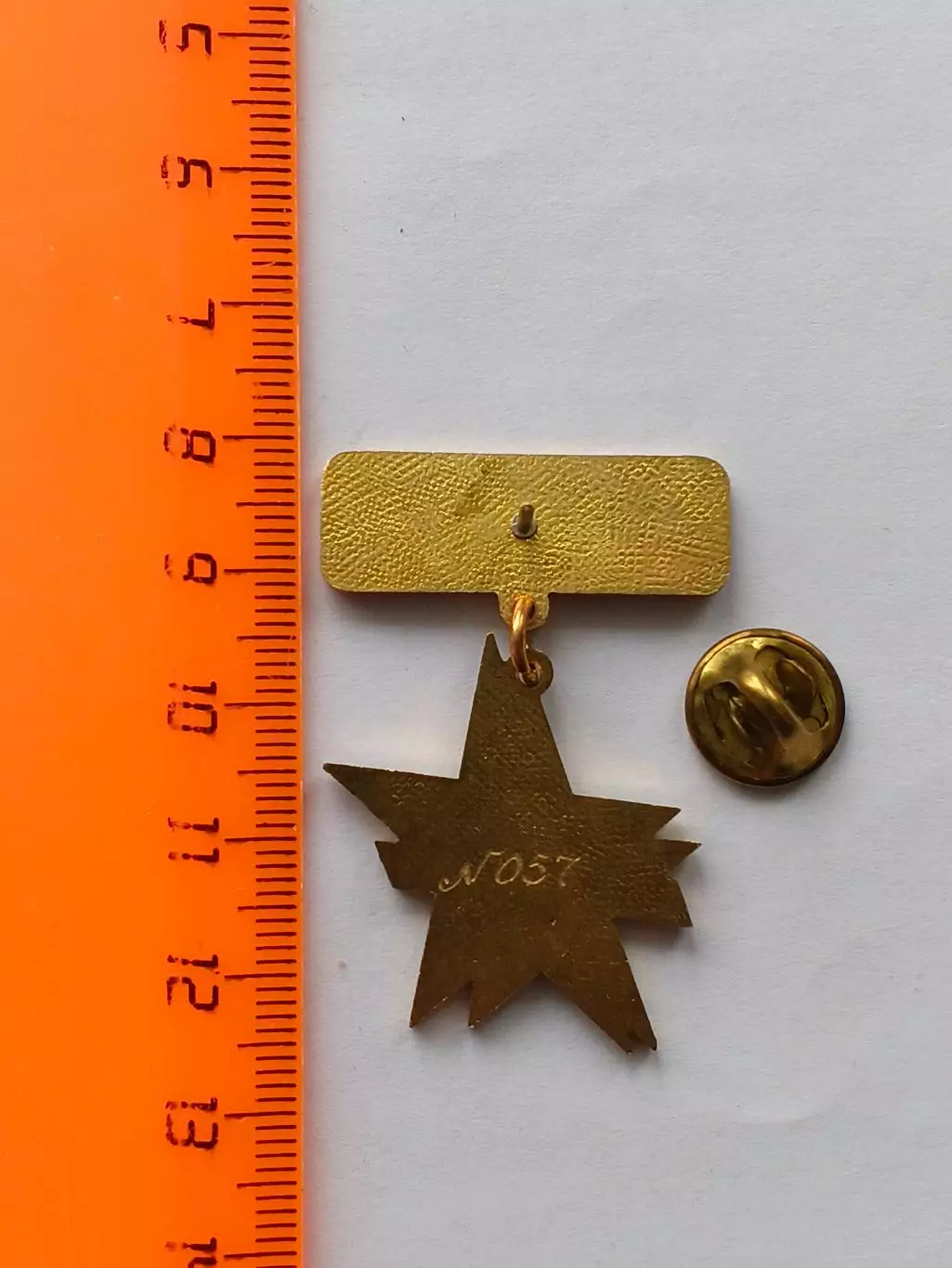 Значок за верность команде ХК Ижсталь 2