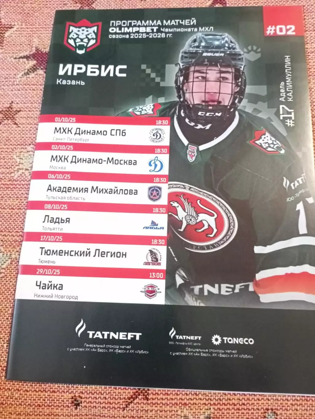 Ирбис Казань - Москва, С-Петербург, Тула, Тольятти, Тюмень 2025/2026