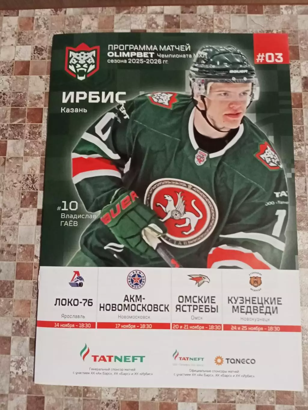 Ирбис Казань - Ярославль, Новомосковск, Омск, Новокузнецк 2025/2026