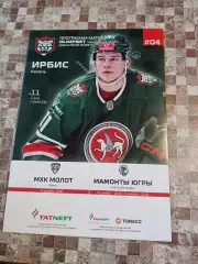 Ирбис Казань - Пермь,Ханты-Мансийск 2 и 12-13.12.2025