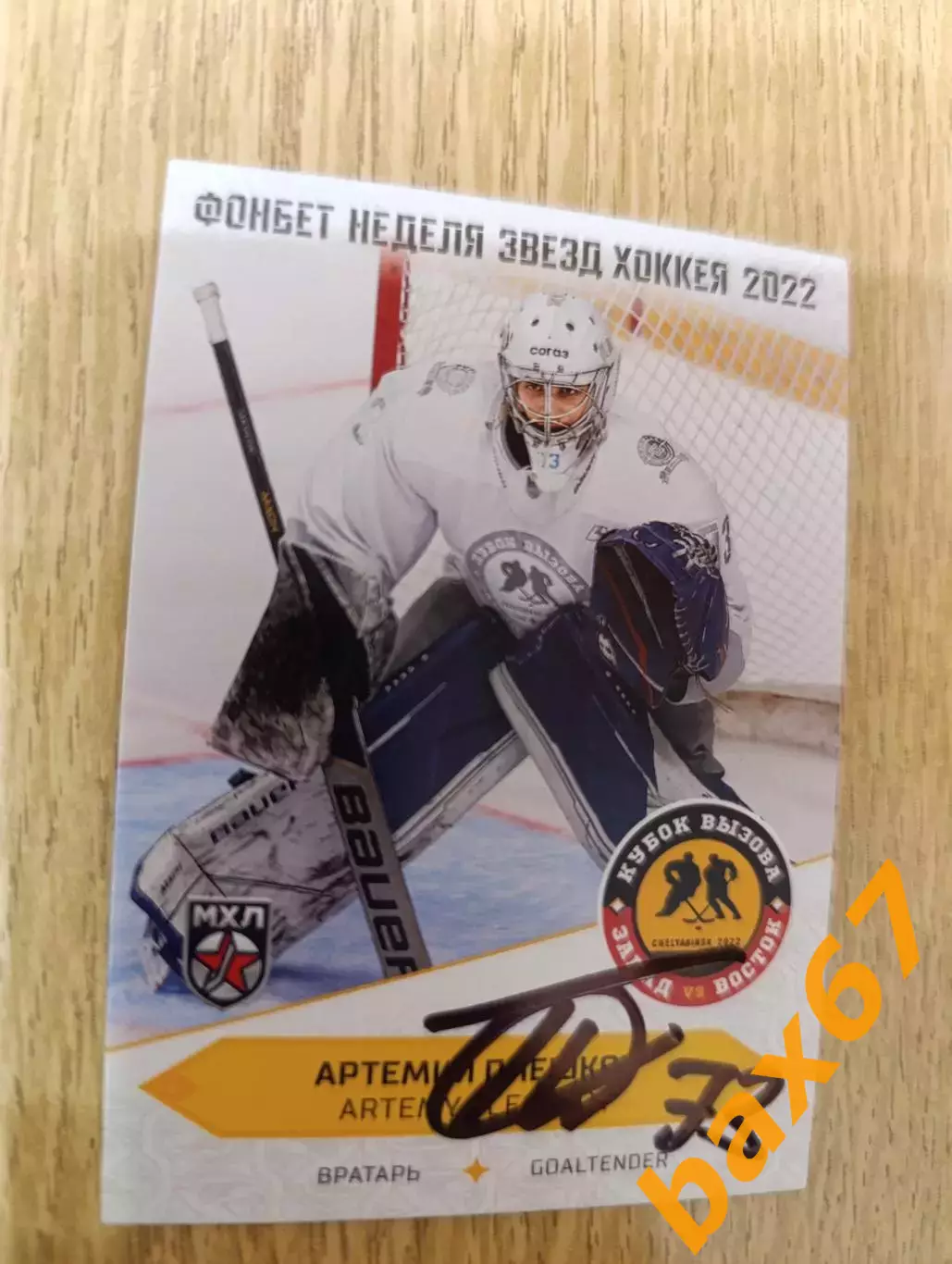 Плешков Артемий,СКА Санкт Петербург.