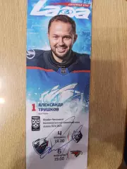 Трушков Александр, Нефтехимик Нижнекамск, Авангард Омск