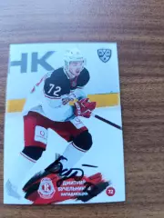 Бучельников Дмитрий, Витязь Московская область