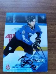 Бучельников Дмитрий, Витязь Московская область