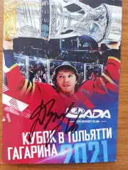 Зернов Денис,кубок Гагарина в Тольятти.