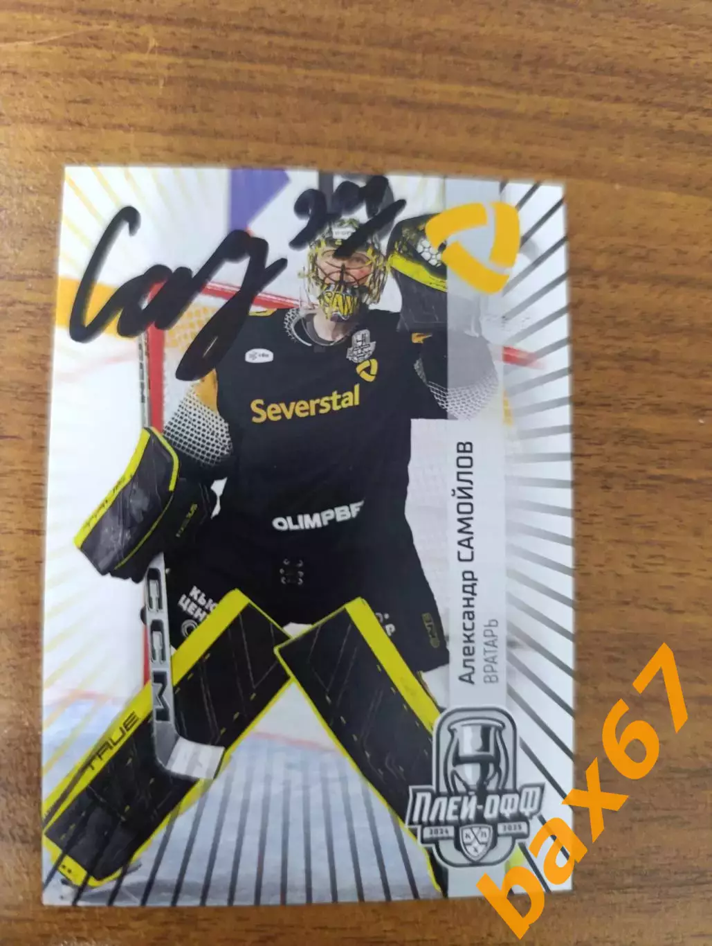 Самойлов Александр ,Северсталь Череповец,.