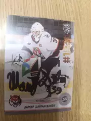 Шаймарданов Дамир, Амур Хабаровск