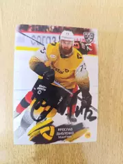 Дыбленко Ярослав, Северсталь Череповец