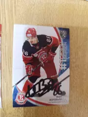 Воробьев Иван, Витязь Московская область.