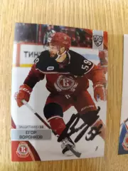 Воронков Егор, Витязь Московская область.