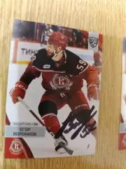 Воронков Егор, Витязь Московская область.